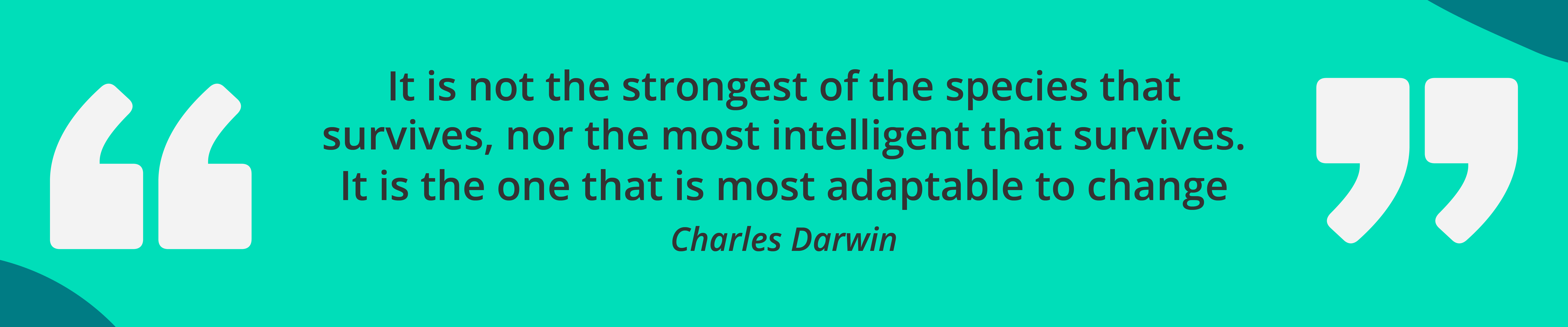 quote by charles darwin-  “It is not the strongest of the species that survives, nor the most intelligent that survives. It is the one that is most adaptable to change”.